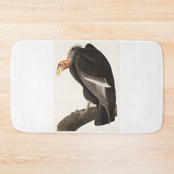Item preview, Californian Vulture designed and sold by Art & Painting.