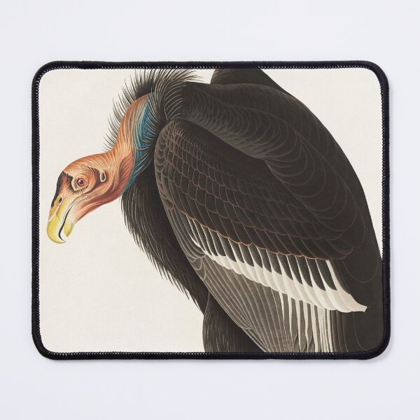 Item preview, Californian Vulture designed and sold by Art & Painting.