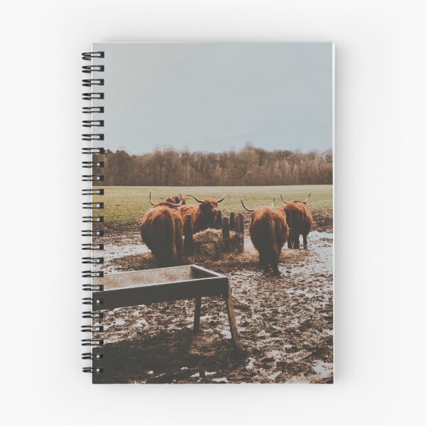 Item preview, Wee Fold of Higland Coos designed and sold by Emilia Oxelheim.