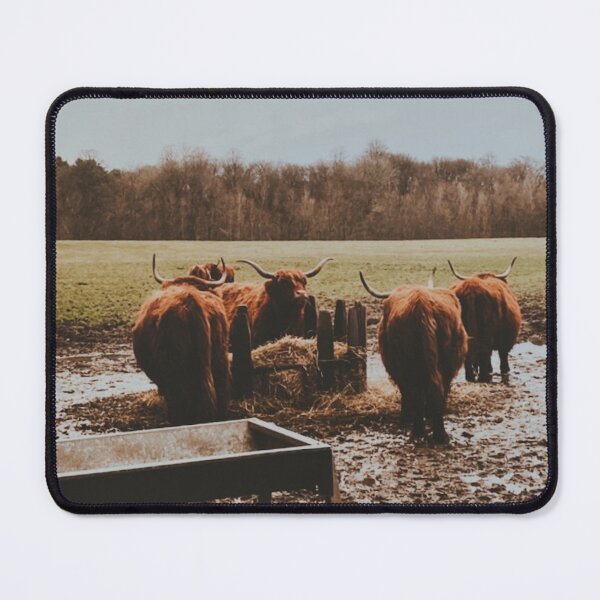 Item preview, Wee Fold of Higland Coos designed and sold by Emilia Oxelheim.