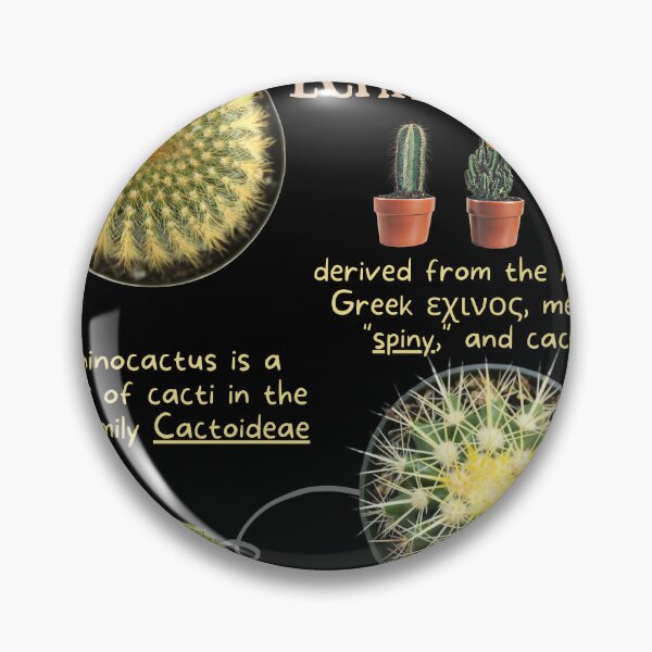 Item preview, Echinocactus Succulent Fun Fact designed and sold by KyleNesas.