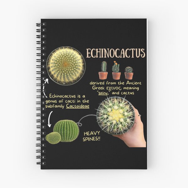 Item preview, Echinocactus Succulent Fun Fact designed and sold by KyleNesas.