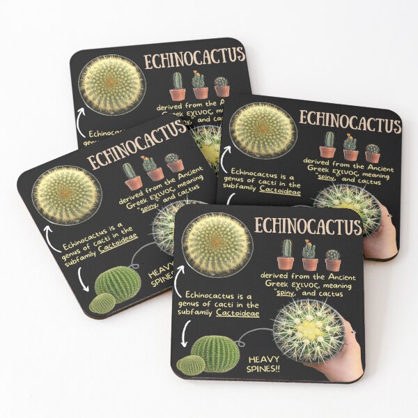 Item preview, Echinocactus Succulent Fun Fact designed and sold by KyleNesas.
