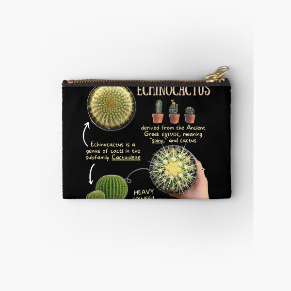 Item preview, Echinocactus Succulent Fun Fact designed and sold by KyleNesas.