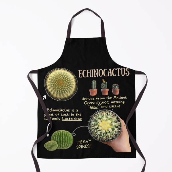 Item preview, Echinocactus Succulent Fun Fact designed and sold by KyleNesas.