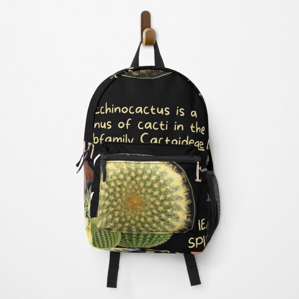 Item preview, Echinocactus Succulent Fun Fact designed and sold by KyleNesas.