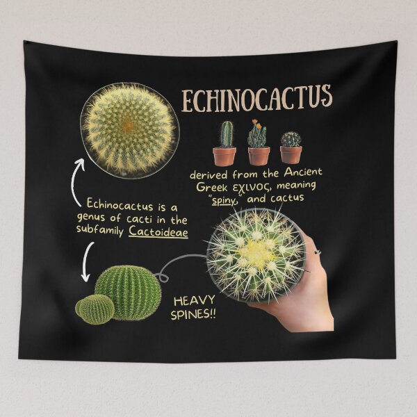Item preview, Echinocactus Succulent Fun Fact designed and sold by KyleNesas.