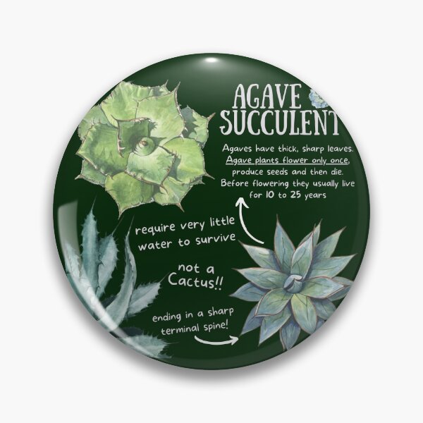 Item preview, Agave Succulent Fun Facts designed and sold by KyleNesas.
