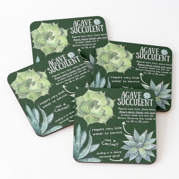 Item preview, Agave Succulent Fun Facts designed and sold by KyleNesas.