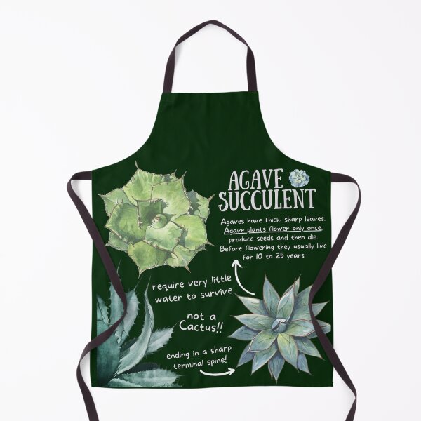 Item preview, Agave Succulent Fun Facts designed and sold by KyleNesas.