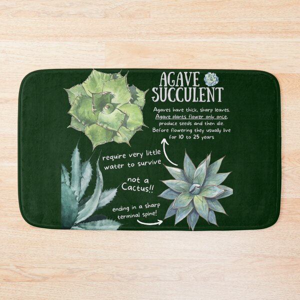 Item preview, Agave Succulent Fun Facts designed and sold by KyleNesas.