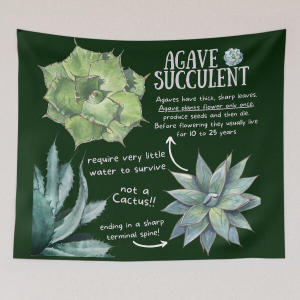 Item preview, Agave Succulent Fun Facts designed and sold by KyleNesas.