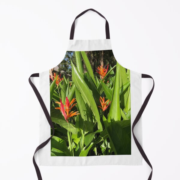 Item preview, Ginger plants designed and sold by ljdewet.