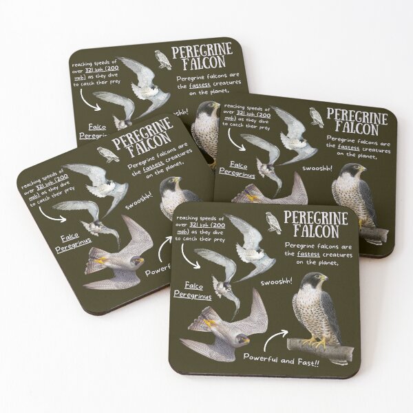 Item preview, Peregrine Falcon Fun Fact designed and sold by KyleNesas.