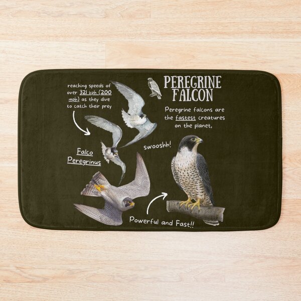 Item preview, Peregrine Falcon Fun Fact designed and sold by KyleNesas.