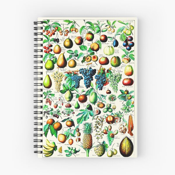 Item preview, Vintage Botanical Fruits designed and sold by Leilaarros.