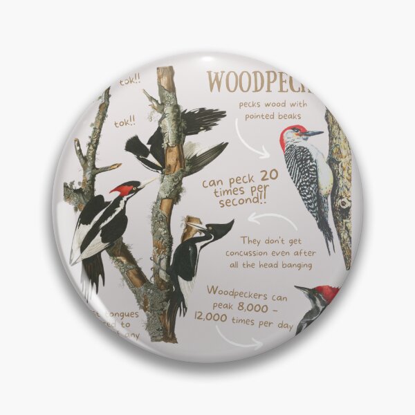 Item preview, Woodpecker Fun Fact designed and sold by KyleNesas.