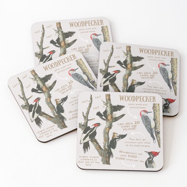 Item preview, Woodpecker Fun Fact designed and sold by KyleNesas.