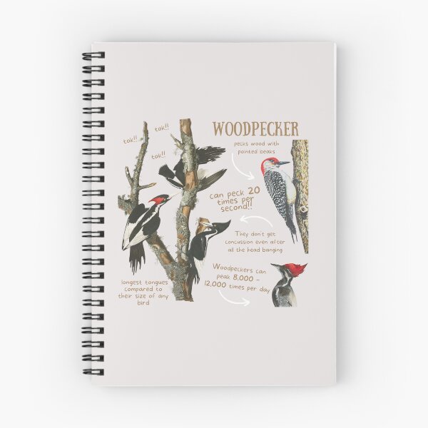 Item preview, Woodpecker Fun Fact designed and sold by KyleNesas.