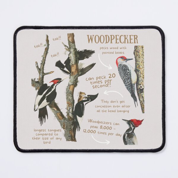Item preview, Woodpecker Fun Fact designed and sold by KyleNesas.