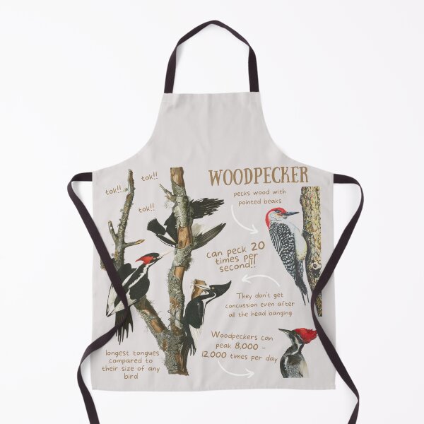 Item preview, Woodpecker Fun Fact designed and sold by KyleNesas.