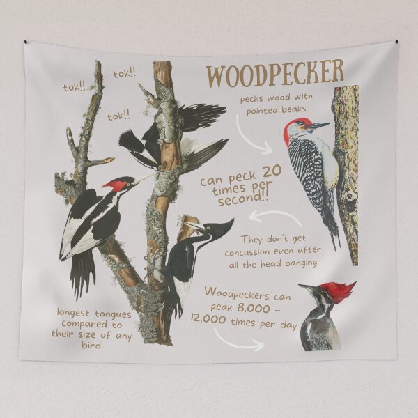 Item preview, Woodpecker Fun Fact designed and sold by KyleNesas.