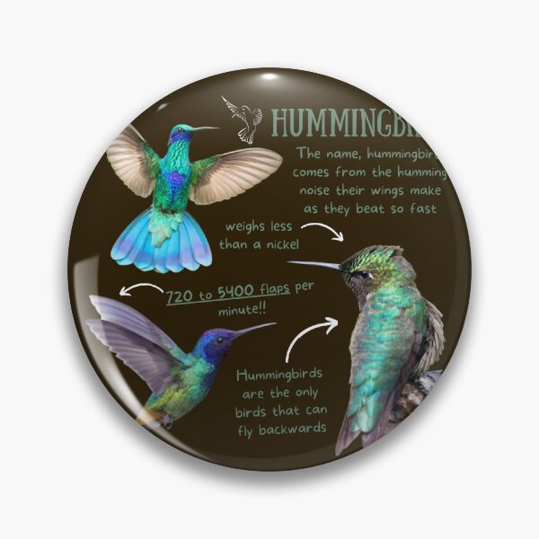 Item preview, Hummingbird Fun Fact designed and sold by KyleNesas.