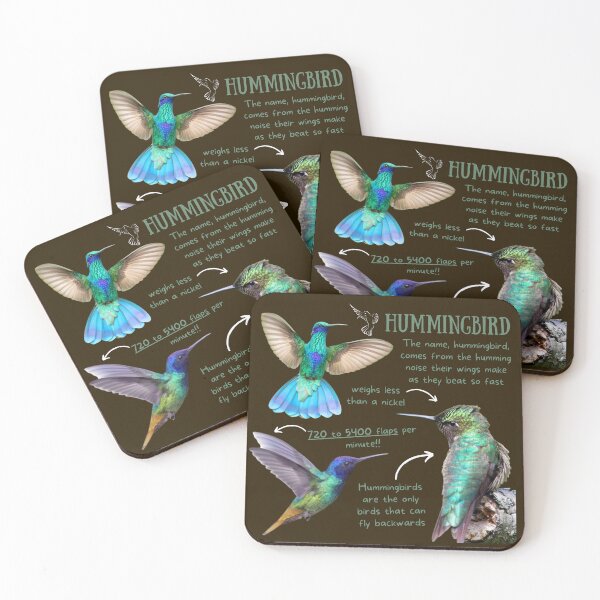 Item preview, Hummingbird Fun Fact designed and sold by KyleNesas.