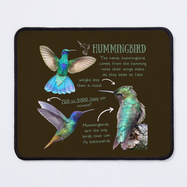 Item preview, Hummingbird Fun Fact designed and sold by KyleNesas.