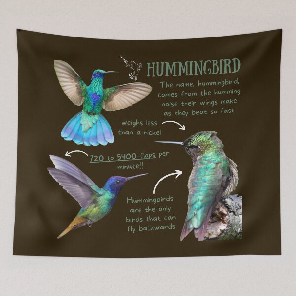 Item preview, Hummingbird Fun Fact designed and sold by KyleNesas.