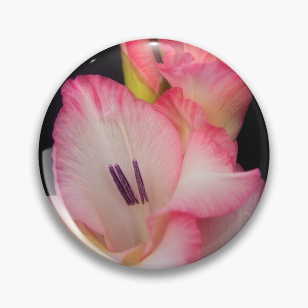 Item preview, Gladioli designed and sold by maureen bracewell.