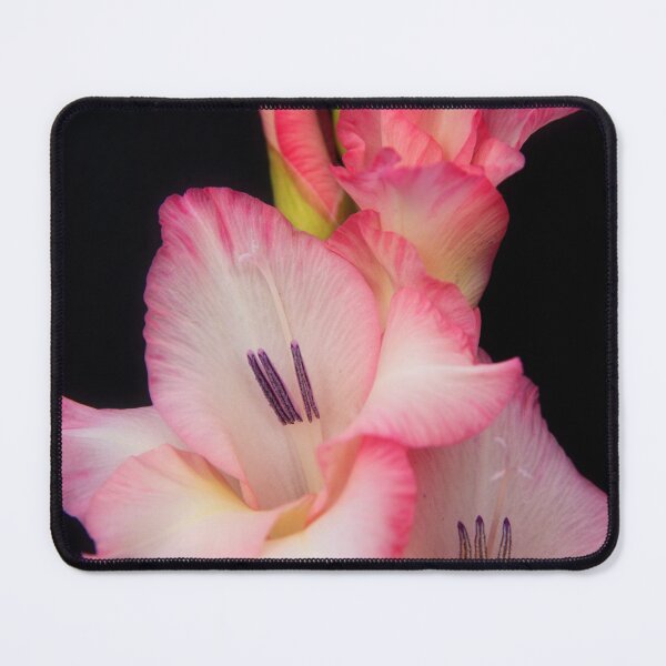 Item preview, Gladioli designed and sold by maureen bracewell.