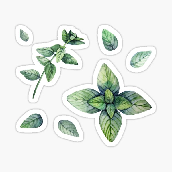 Item preview, Watercolor oregano collection. designed and sold by Ekaterina Glazkova.