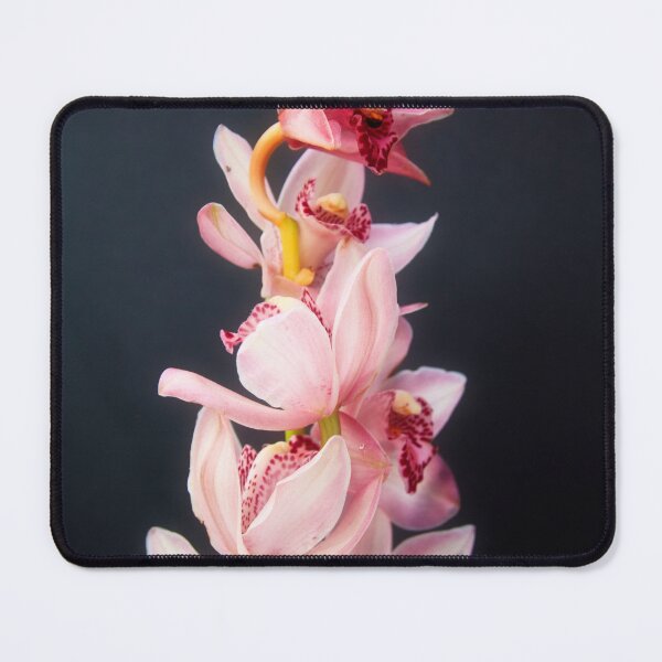 Item preview, Pink orchid designed and sold by maureen bracewell.