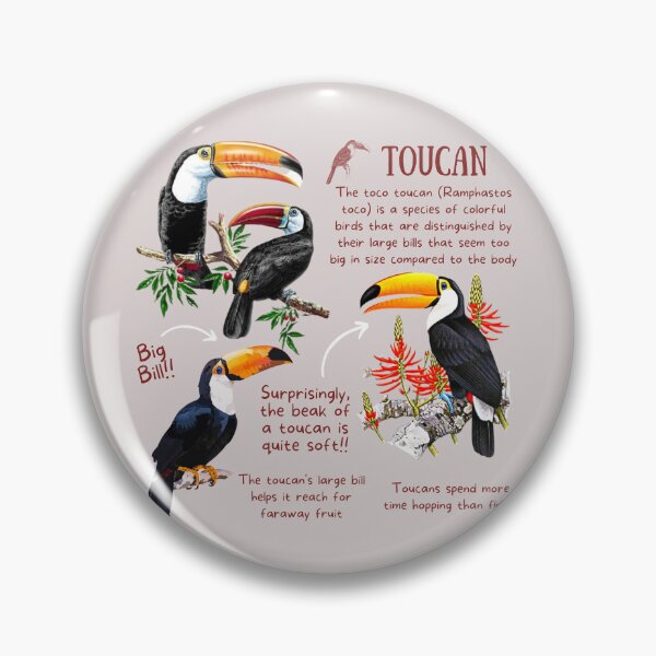 Item preview, Toucan Fun Fact designed and sold by KyleNesas.