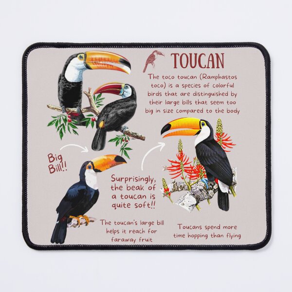 Item preview, Toucan Fun Fact designed and sold by KyleNesas.