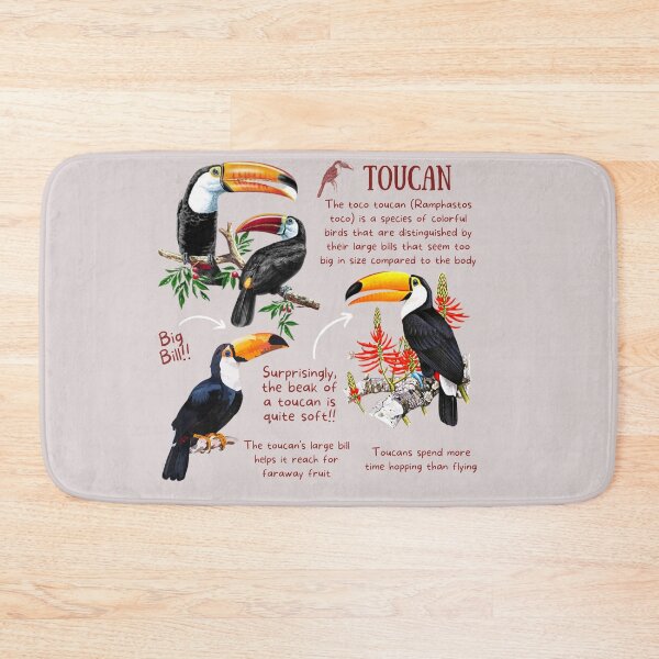 Item preview, Toucan Fun Fact designed and sold by KyleNesas.