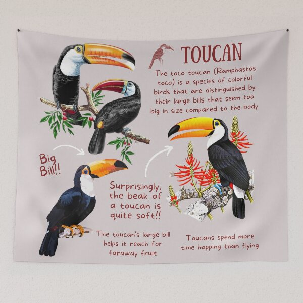 Item preview, Toucan Fun Fact designed and sold by KyleNesas.