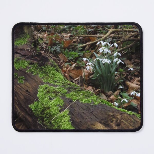 Item preview, The Snowdrop Collection (3) designed and sold by wiggyofipswich.