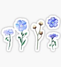 Pegatina Conjunto de flores de lino de acuarela