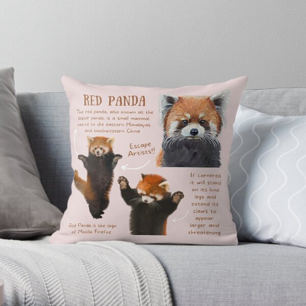 https://ih1.redbubble.net/image.3284791634.8881/throwpillow,small,600x-bg,f8f8f8-c,0,120,600,600.jpg