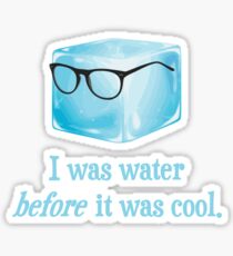 Hipster Ice Cube Was Water Before It Was Cool Sticker