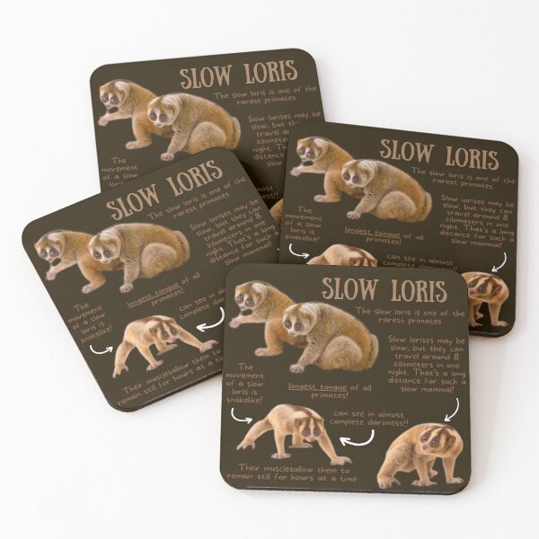 Item preview, Slow Loris Fun Facts designed and sold by KyleNesas.