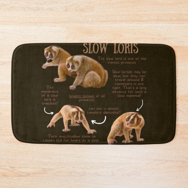 Item preview, Slow Loris Fun Facts designed and sold by KyleNesas.