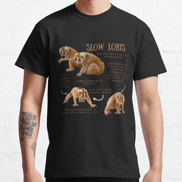 Slow Loris Tiger T Shirt XS