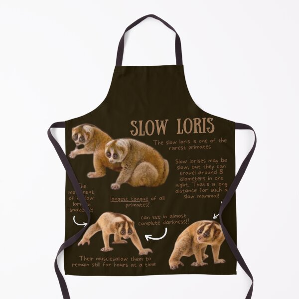 Item preview, Slow Loris Fun Facts designed and sold by KyleNesas.