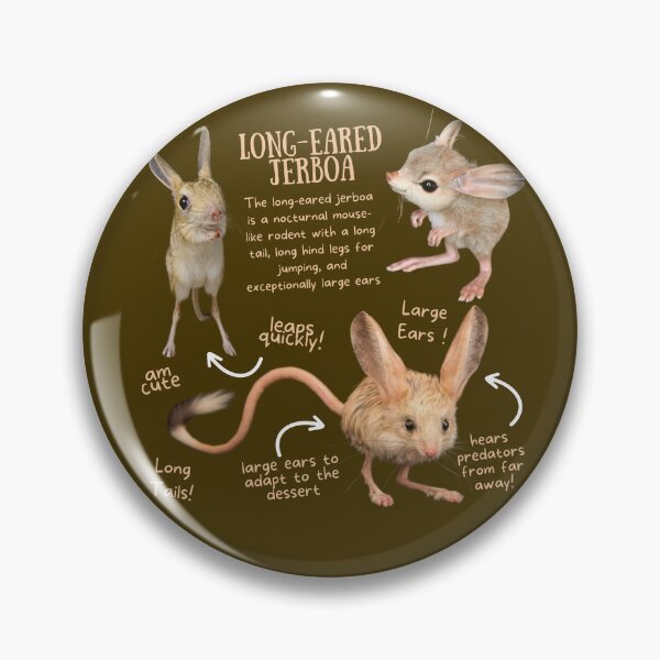 Item preview, Long-Eared Jerboa Fun Facts designed and sold by KyleNesas.