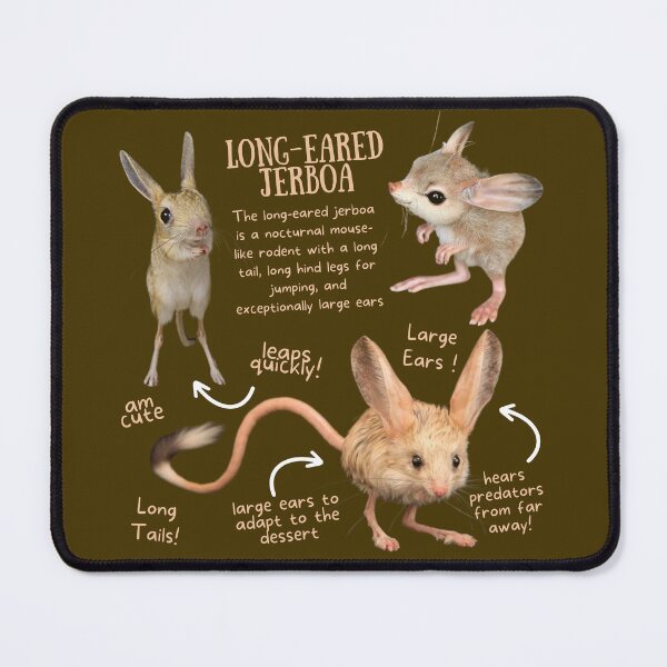 Long-Eared Jerboa Fun Facts Mouse Pad