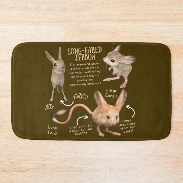 Item preview, Long-Eared Jerboa Fun Facts designed and sold by KyleNesas.