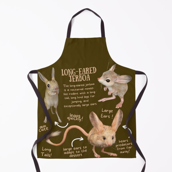 Item preview, Long-Eared Jerboa Fun Facts designed and sold by KyleNesas.